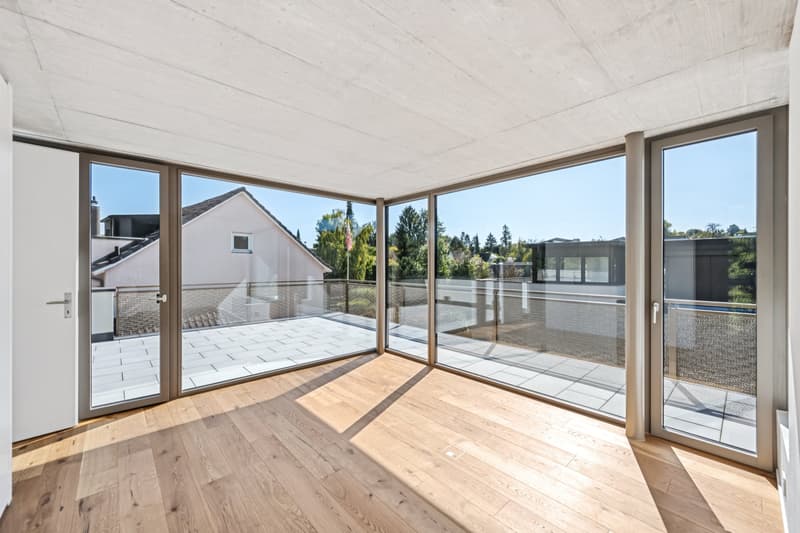 Abitazione esclusiva con giardino e terrazza sul tetto (11)