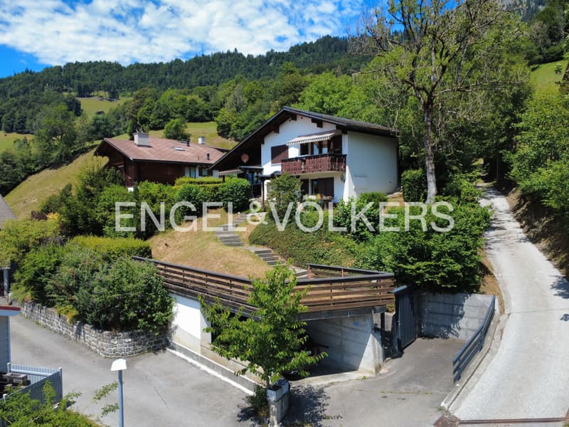 Einfamilienhaus "Lug ins Land" (1)