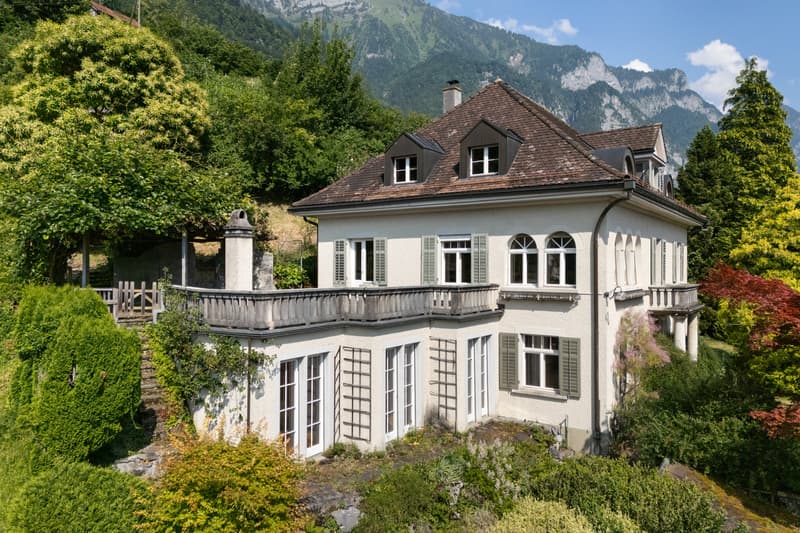 City villa with lake view & Alpine panorama in a unique solitary location (1)