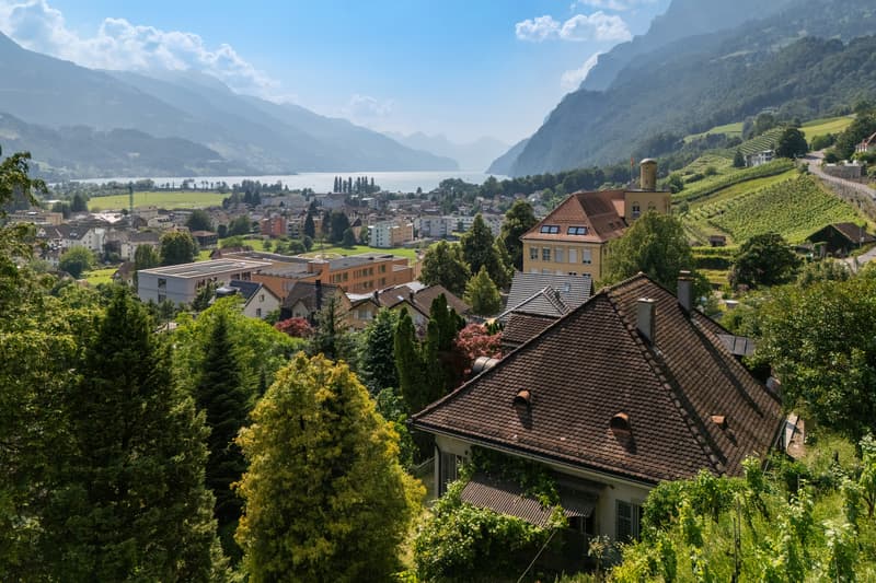 City villa with lake view & Alpine panorama in a unique solitary location (7)