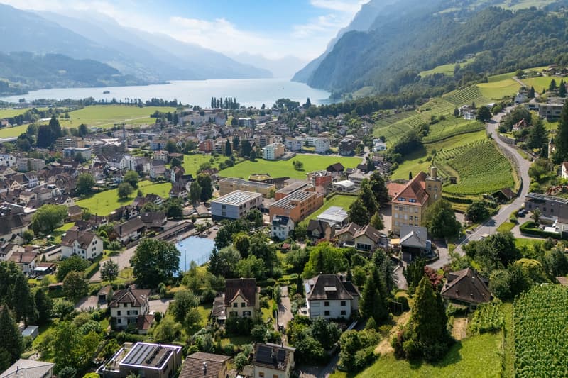 City villa with lake view & Alpine panorama in a unique solitary location (5)