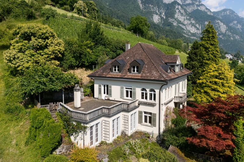 City villa with lake view & Alpine panorama in a unique solitary location (8)