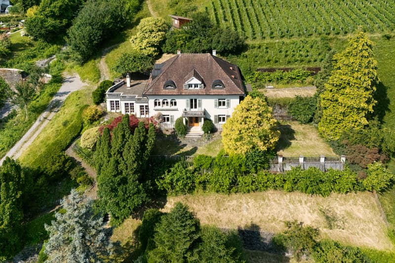 City villa with lake view & Alpine panorama in a unique solitary location (6)