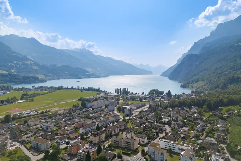 City villa with lake view & Alpine panorama in a unique solitary location (2)