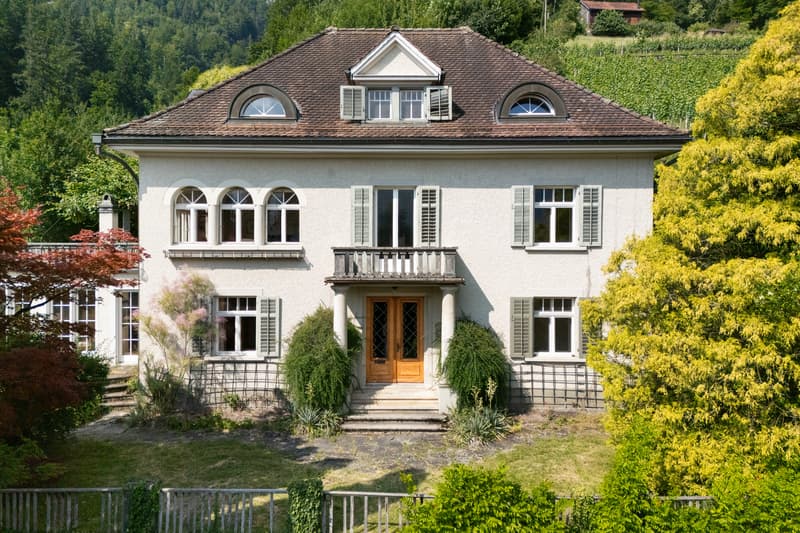 City villa with lake view & Alpine panorama in a unique solitary location (3)