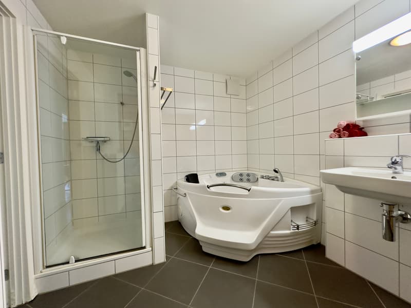 Appartamento 4,5 locali direttamente sul lago con vista panoramica - come vacanza o (13)