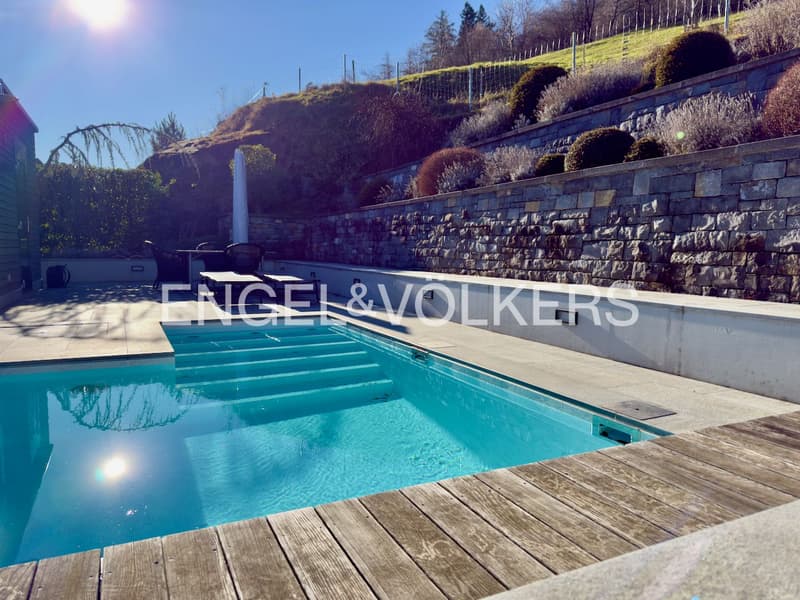 Appartement attique de luxe à Buchs : élégance, panorama montagnard et oasis de bien-être (4)