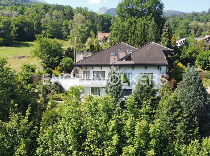 Spacious single-family house directly on the unbuildable green zone with (3)