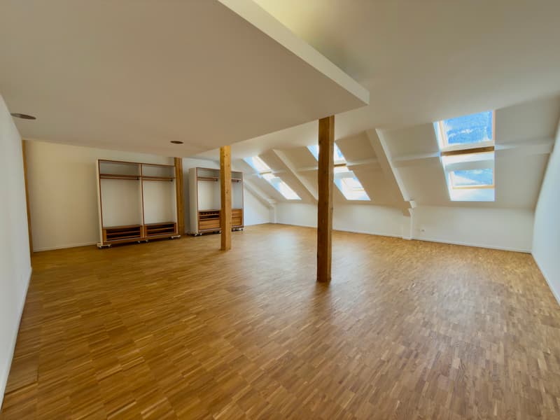 Exklusives Attika-Maisonette-Loft mit See- & Bergpanorama am Walensee (5)