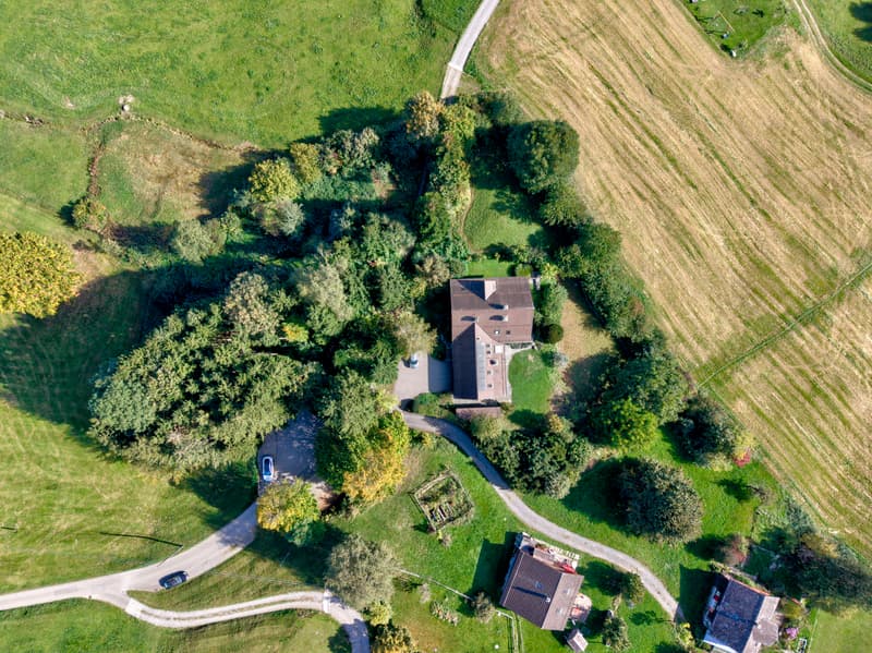 Toggenburger Landhausperle - Einzigartiges Naturparadies mit majestäti (2)