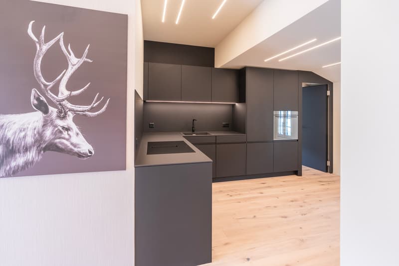 Modern living with historic charm (3)