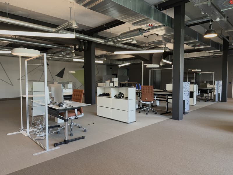 Exklusiv möbilierte Büroflächen an perfekter Lage (12)