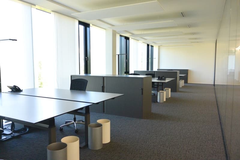 Surface au rez-de-chaussée représentative avec 1'164 m² (8)