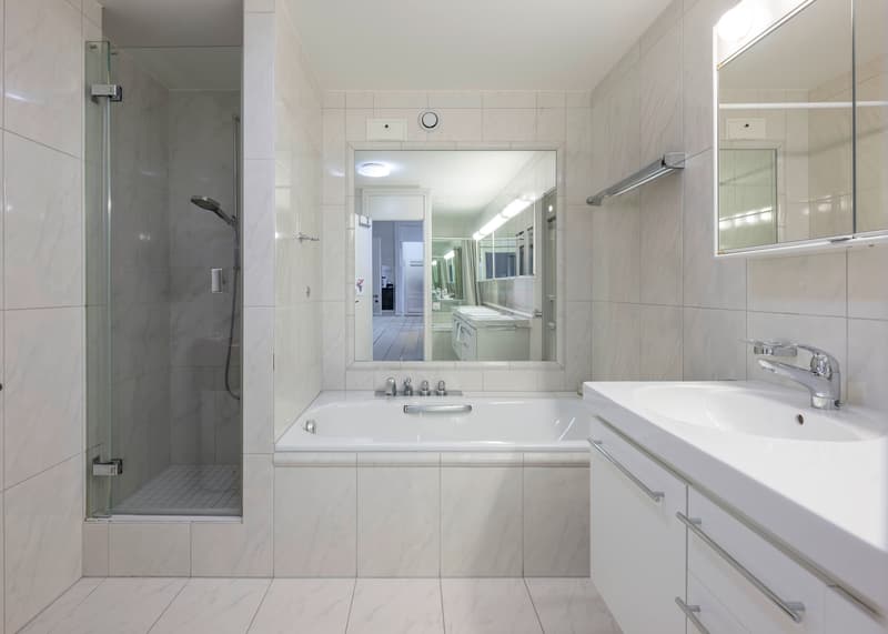Exclusive living next to the Hotel Dolder Grand (3)