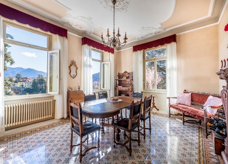 Villa antica con terreno edificabile (6)