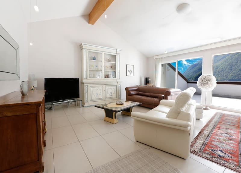Appartement en attique, vue sur le lac et terrasse panoramique (2)