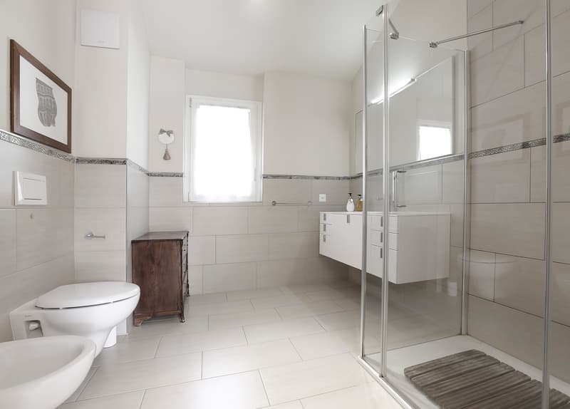 Appartement en attique, vue sur le lac et terrasse panoramique (7)