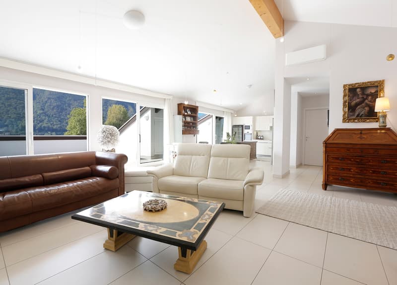 Appartement en attique, vue sur le lac et terrasse panoramique (3)