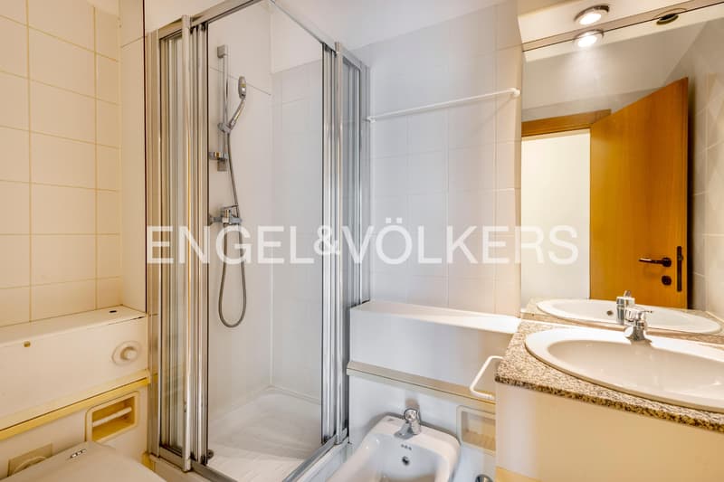 Bright apartment in the center of Lugano (9)