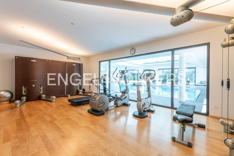 Penthouse design con vista panoramica 180 gradi sul lago (13)