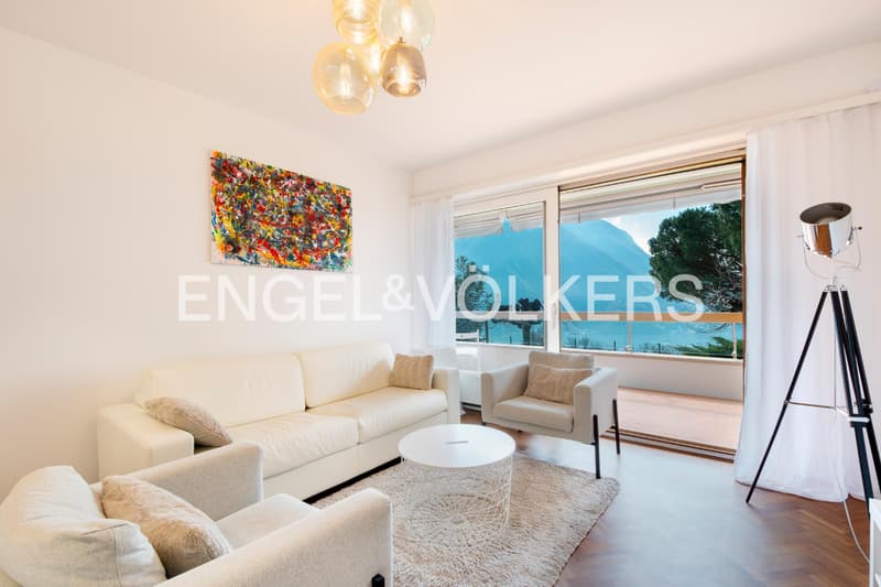 Appartement charmant et confortable avec vue sur le lac (4)