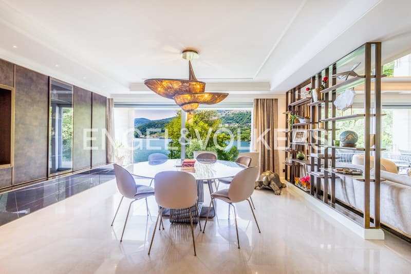 Appartement attique prestigieux avec vue sur le lac et terrasse sur le toit (3)