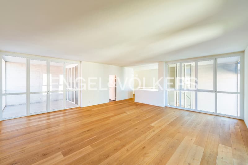 Duplex central rénové avec pièces lumineuses (3)