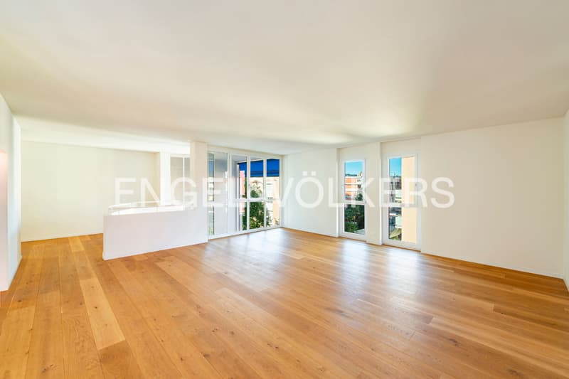 Duplex central rénové avec pièces lumineuses (2)