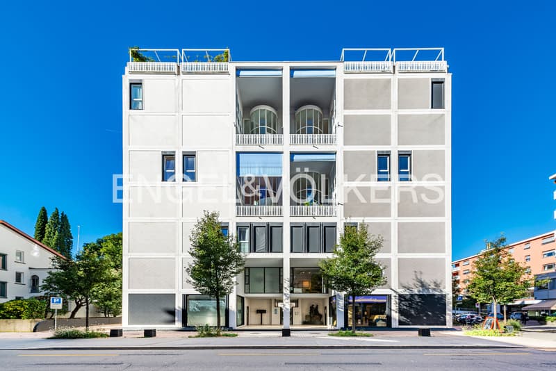 Duplex central rénové avec pièces lumineuses (13)