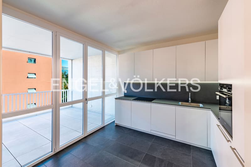 Duplex central rénové avec pièces lumineuses (5)