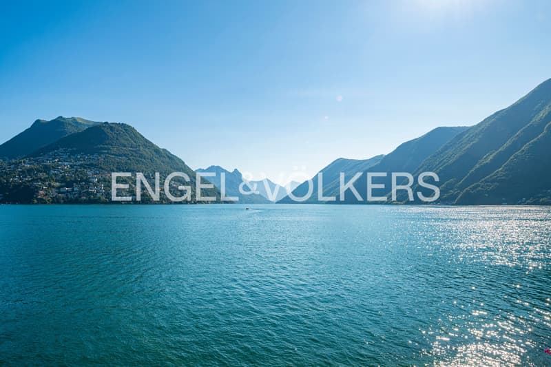 Lakefront villa with private dock (13)