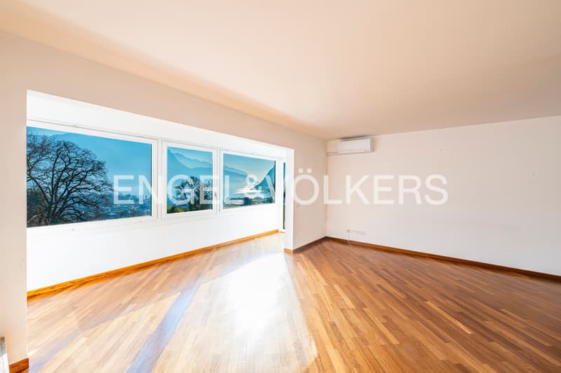 Appartement élégant avec vue sur le lac et jardin privé (2)