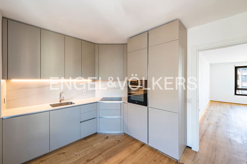 Renovated apartment in central location (6)