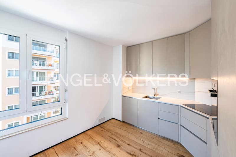 Renovated apartment in central location (7)