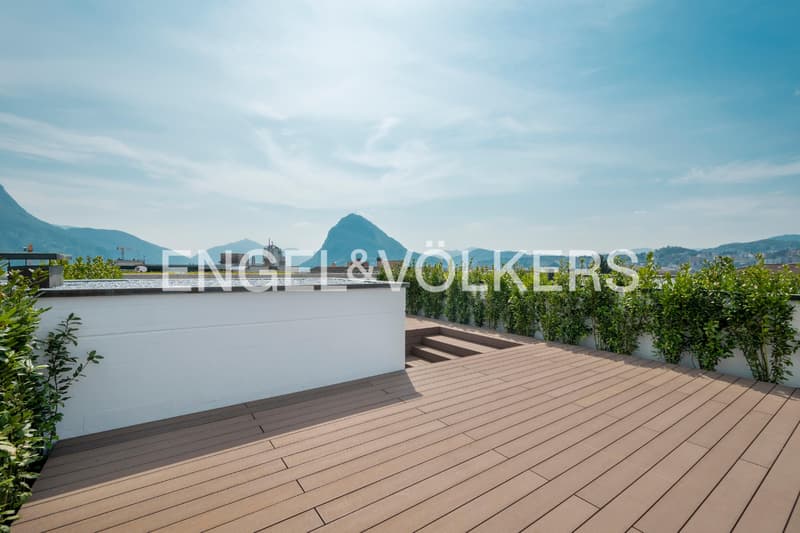 Elegant duplex apartment with rooftop terrace (1)