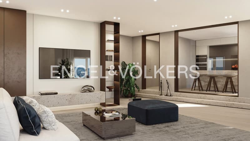 Your future dream home (4)