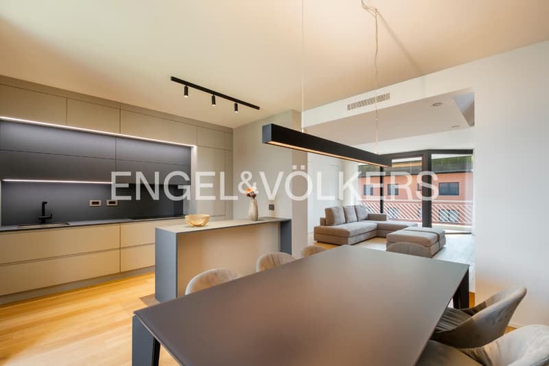 Sophisticated duplex with rooftop terrace (8)