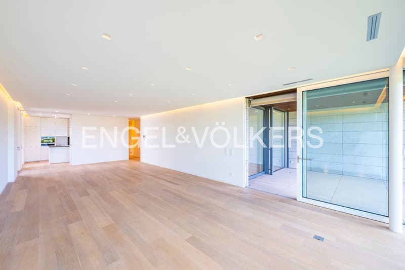 Modern apartment in a quiet residential area (4)