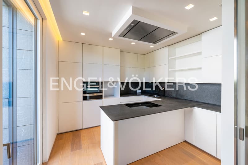 Modern apartment in a quiet residential area (5)