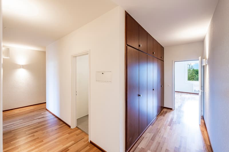 Appartamento rinnovato con grande terrazza (6)