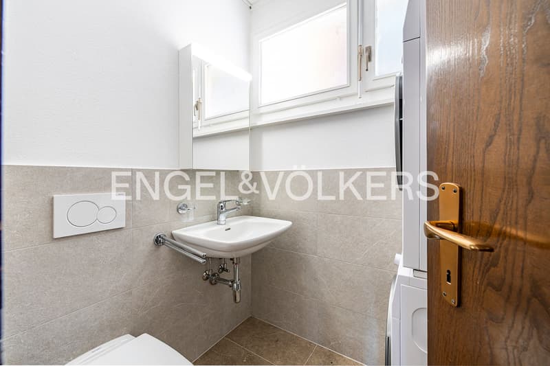 Vista lago in posizione tranquilla | Apt. B (8)