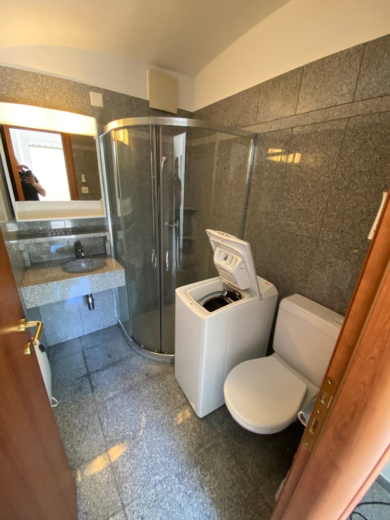Stupendo 2.5 con giardino privato (5)