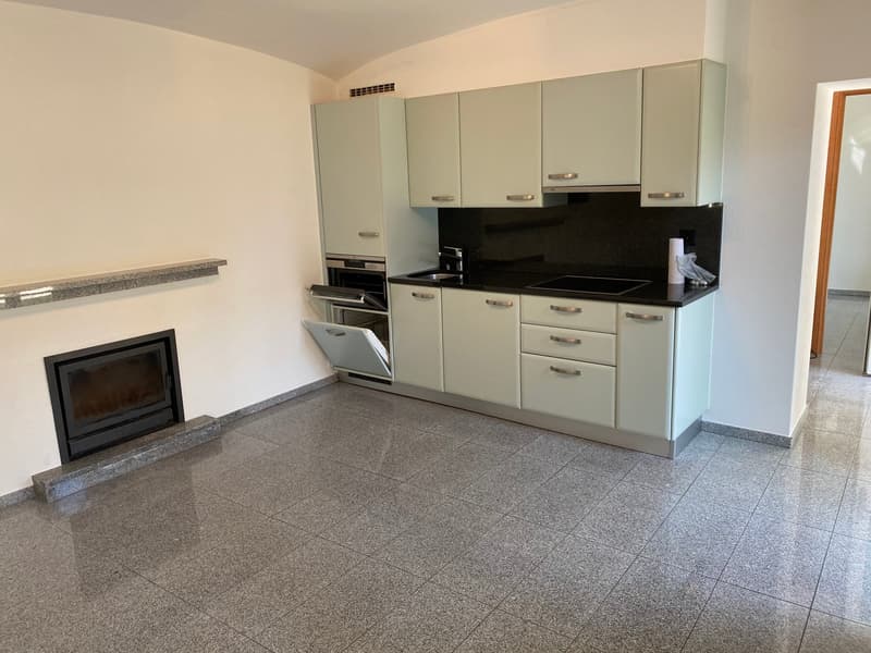 Stupendo 2.5 con giardino privato (3)
