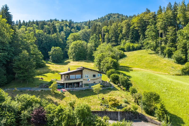Einmaliges Grundstück mit unverbaubarer See- & Bergsicht (3)