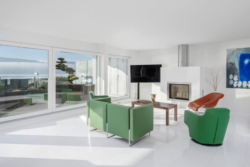 Lake view to fall in love with: Elegant living dream (2)