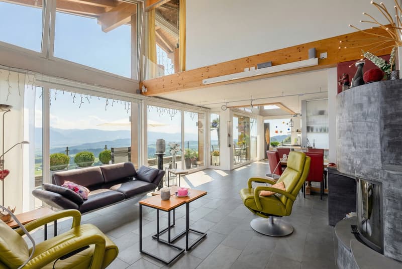 Spacious single-family house with separate garden apartment (4)