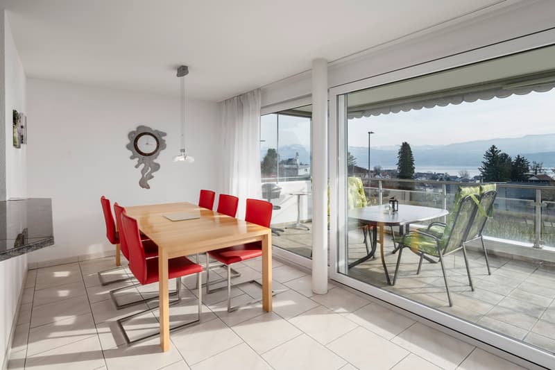 Vue panoramique incluse : appartement avec panorama (4)