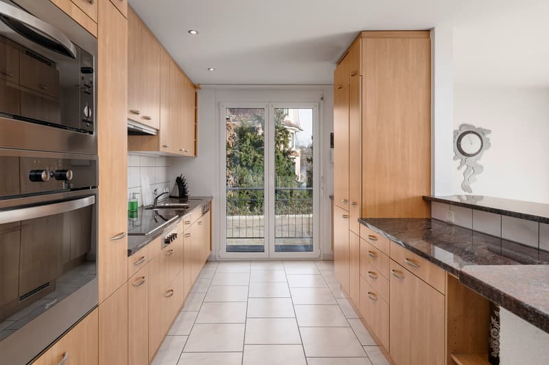 Vue panoramique incluse : appartement avec panorama (3)