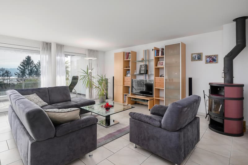 Vue panoramique incluse : appartement avec panorama (2)