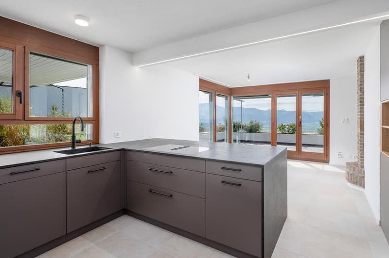 Habitation élégante avec beaucoup d'espace et une vue panoramique sur le lac et les Alpes (3)